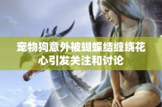 宠物狗意外被蝴蝶结缠绕花心引发关注和讨论