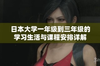 日本大学一年级到三年级的学习生活与课程安排详解