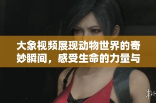 大象视频展现动物世界的奇妙瞬间，感受生命的力量与温柔