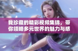 我珍藏的精彩视频集锦，带你领略多元世界的魅力与感动