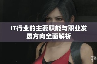 IT行业的主要职能与职业发展方向全面解析