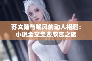 苏文陆与晚风的动人相遇：小说全文免费欣赏之旅