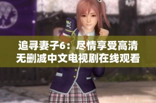 追寻妻子6：尽情享受高清无删减中文电视剧在线观看体验