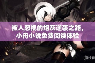 被人忽视的炮灰逆袭之路，小舟小说免费阅读体验