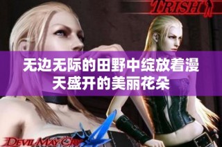 无边无际的田野中绽放着漫天盛开的美丽花朵
