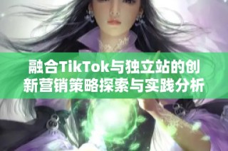 融合TikTok与独立站的创新营销策略探索与实践分析