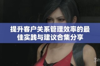 提升客户关系管理效率的最佳实践与建议合集分享