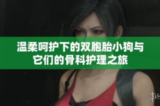 温柔呵护下的双胞胎小狗与它们的骨科护理之旅