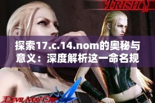 探索17.c.14.nom的奥秘与意义：深度解析这一命名规则的重要性与影响