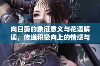 向日葵的象征意义与花语解读，传递积极向上的情感与希望