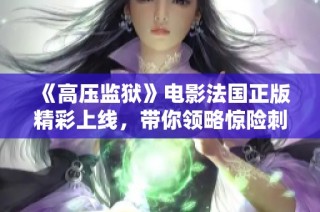 《高压监狱》电影法国正版精彩上线，带你领略惊险刺激的监狱故事