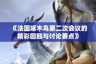 《法国啄木鸟第二次会议的精彩回顾与讨论要点》