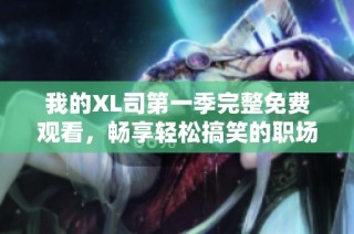 我的XL司第一季完整免费观看，畅享轻松搞笑的职场人生剧情