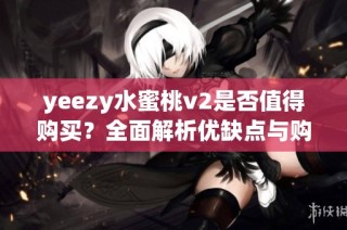 yeezy水蜜桃v2是否值得购买？全面解析优缺点与购买建议