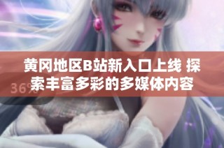 黄冈地区B站新入口上线 探索丰富多彩的多媒体内容