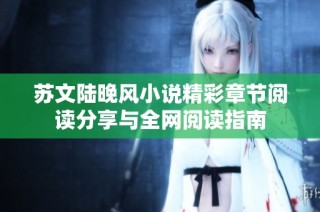 苏文陆晚风小说精彩章节阅读分享与全网阅读指南