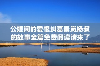公媳间的爱恨纠葛秦岚杨叔的故事全篇免费阅读请来了解