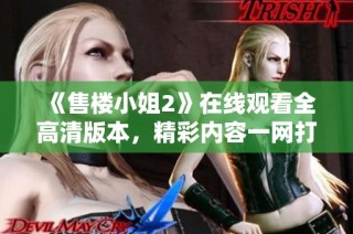 《售楼小姐2》在线观看全高清版本，精彩内容一网打尽！