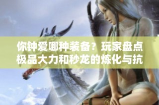 你钟爱哪种装备？玩家盘点极品大力和秒龙的炼化与抗冰特点