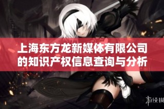 上海东方龙新媒体有限公司的知识产权信息查询与分析指南