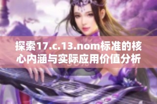探索17.c.13.nom标准的核心内涵与实际应用价值分析
