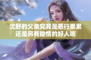 沈野的父亲究竟是恶行累累还是另有隐情的好人呢