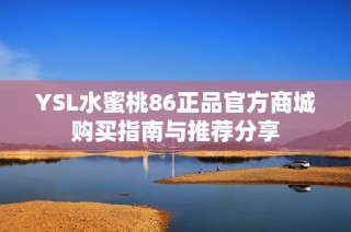 YSL水蜜桃86正品官方商城购买指南与推荐分享