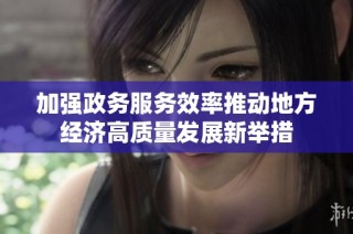 加强政务服务效率推动地方经济高质量发展新举措