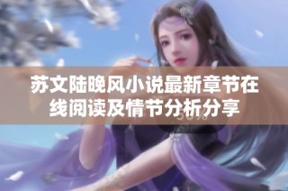 苏文陆晚风小说最新章节在线阅读及情节分析分享