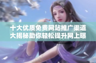 十大优质免费网站推广渠道大揭秘助你轻松提升网上曝光率