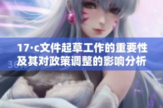 17·c文件起草工作的重要性及其对政策调整的影响分析