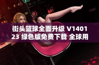 街头篮球全面升级 V140123 绿色版免费下载 全球用户的最佳选择