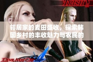 邻居家的麦田盛收，探索韩国乡村的丰收魅力与农民的辛勤付出
