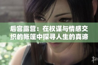 后宫露营：在权谋与情感交织的帐篷中探寻人生的真谛