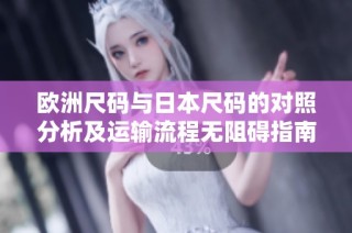欧洲尺码与日本尺码的对照分析及运输流程无阻碍指南