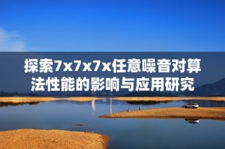 探索7x7x7x任意噪音对算法性能的影响与应用研究