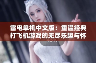 雷电单机中文版：重温经典打飞机游戏的无尽乐趣与怀旧情怀