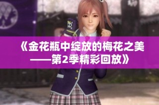 《金花瓶中绽放的梅花之美——第2季精彩回放》