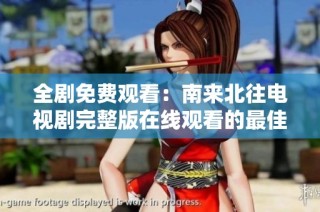 全剧免费观看：南来北往电视剧完整版在线观看的最佳途径揭秘