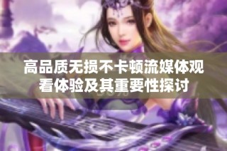 高品质无损不卡顿流媒体观看体验及其重要性探讨