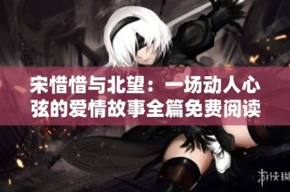 宋惜惜与北望：一场动人心弦的爱情故事全篇免费阅读无广告