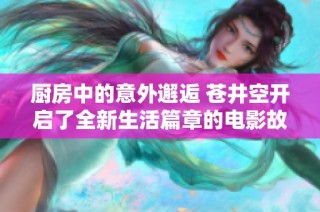 厨房中的意外邂逅 苍井空开启了全新生活篇章的电影故事