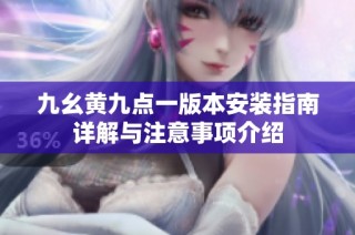 九幺黄九点一版本安装指南详解与注意事项介绍