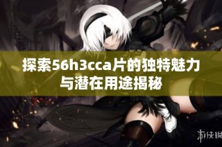 探索56h3cca片的独特魅力与潜在用途揭秘