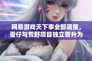 网易游戏天下事业部调整，蛋仔与荒野项目独立晋升为新事业部