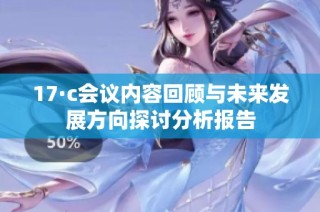 17·c会议内容回顾与未来发展方向探讨分析报告