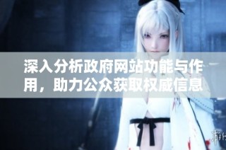 深入分析政府网站功能与作用，助力公众获取权威信息和服务