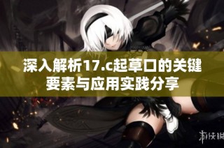 深入解析17.c起草口的关键要素与应用实践分享