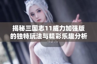 揭秘三国志11威力加强版的独特玩法与精彩乐趣分析