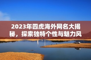2023年四虎海外网名大揭秘，探索独特个性与魅力风采